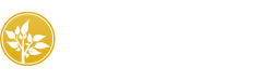 Mayores y Más - Servicios Sociales Gijón